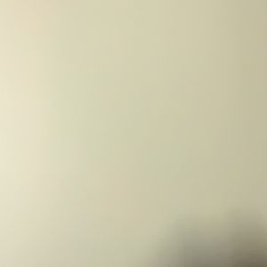 Meet your Posher, Princess